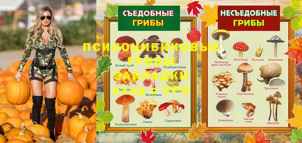 дмт Арсеньев