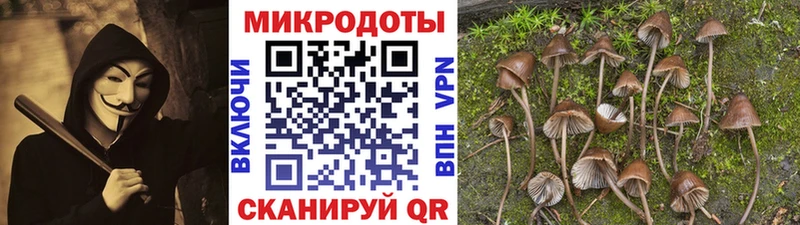 ссылка на мегу ONION Ульяновск Псилоцибиновые грибы прущие грибы